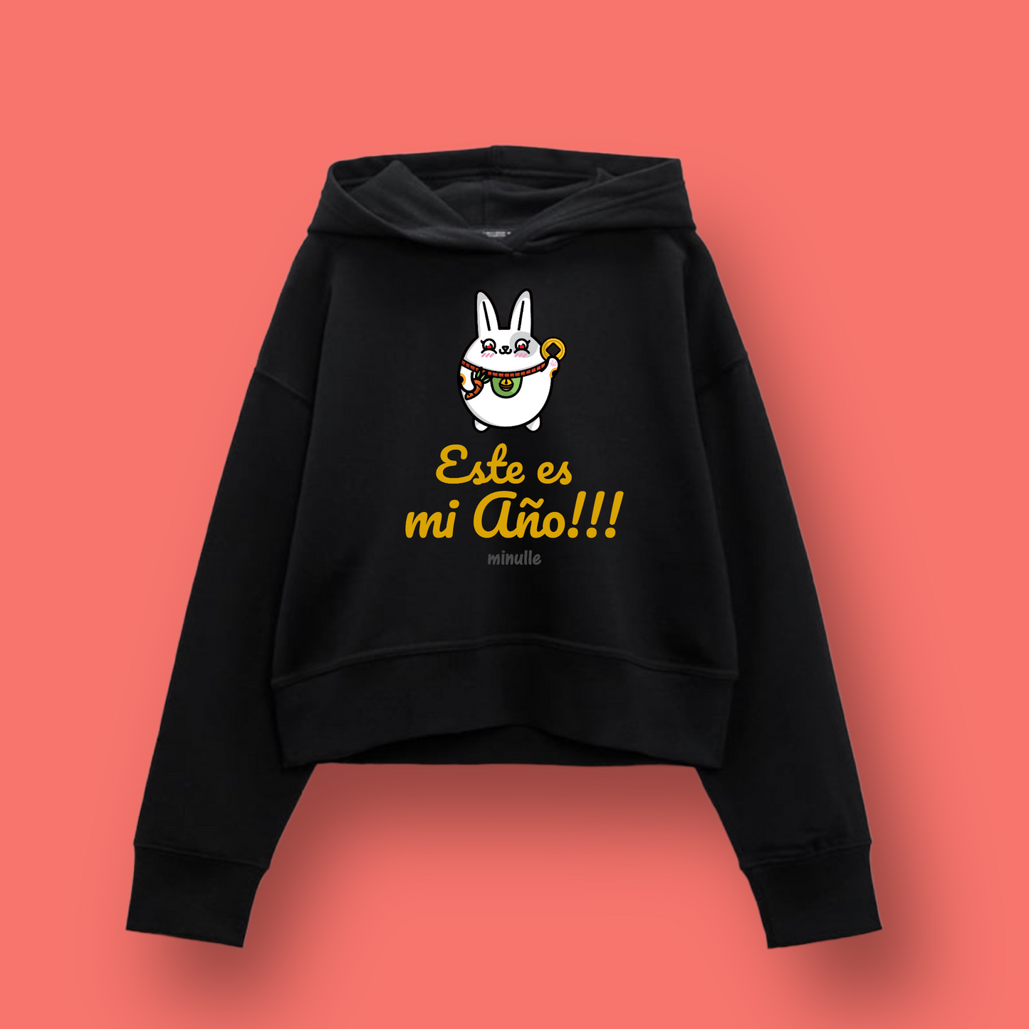 Sudadera bordada este es mi año